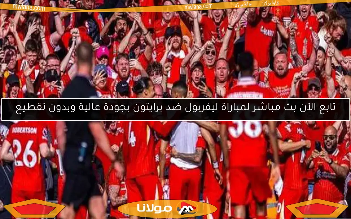 تابع الآن بث مباشر لمباراة ليفربول ضد برايتون بجودة عالية وبدون تقطيع