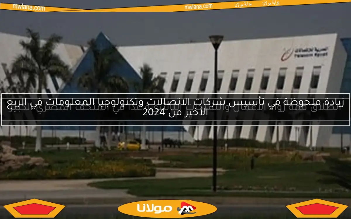 زيادة ملحوظة في تأسيس شركات الاتصالات وتكنولوجيا المعلومات في الربع الأخير من 2024