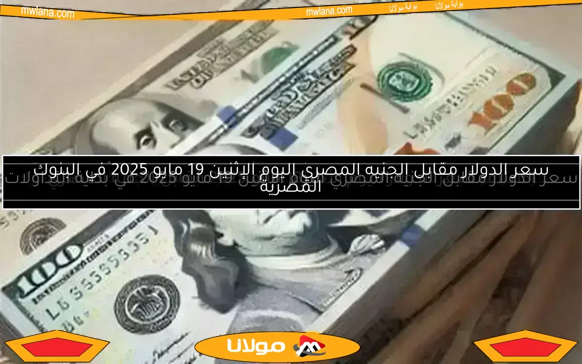 سعر الدولار مقابل الجنيه المصري اليوم الإثنين 19 مايو 2025 في بداية التداولات