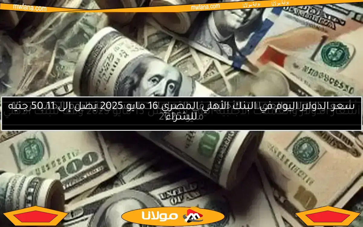 سعر الدولار اليوم في البنك الأهلي المصري 16 مايو 2025 يصل إلى 50.11 جنيه للشراء