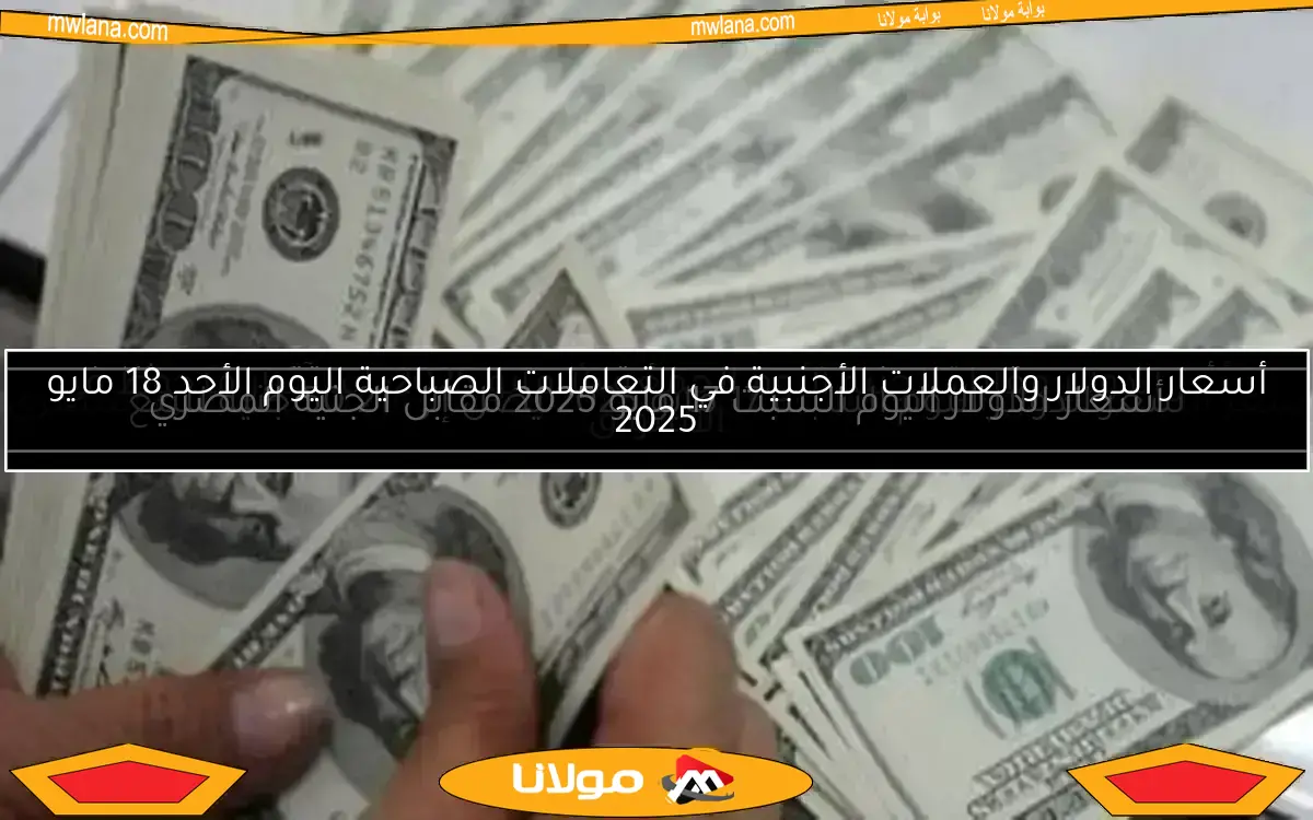 أسعار الدولار والعملات الأجنبية اليوم الأحد في التعاملات الصباحية
