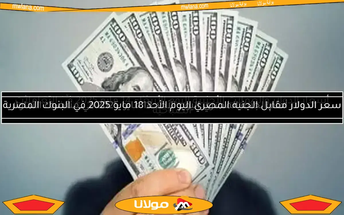 سعر الدولار أمام الجنيه المصري اليوم الأحد 18 مايو 2025 في منتصف التداولات
