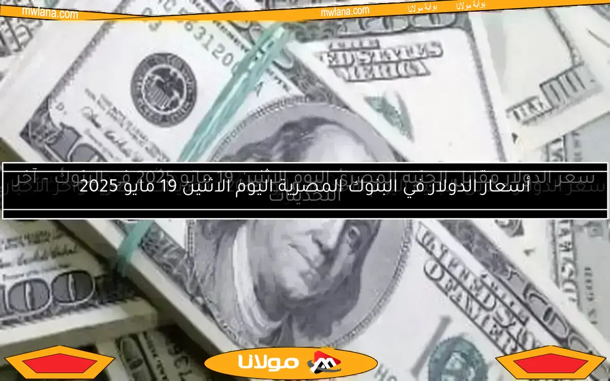 أسعار الدولار في البنوك المصرية اليوم الاثنين 19 مايو 2025