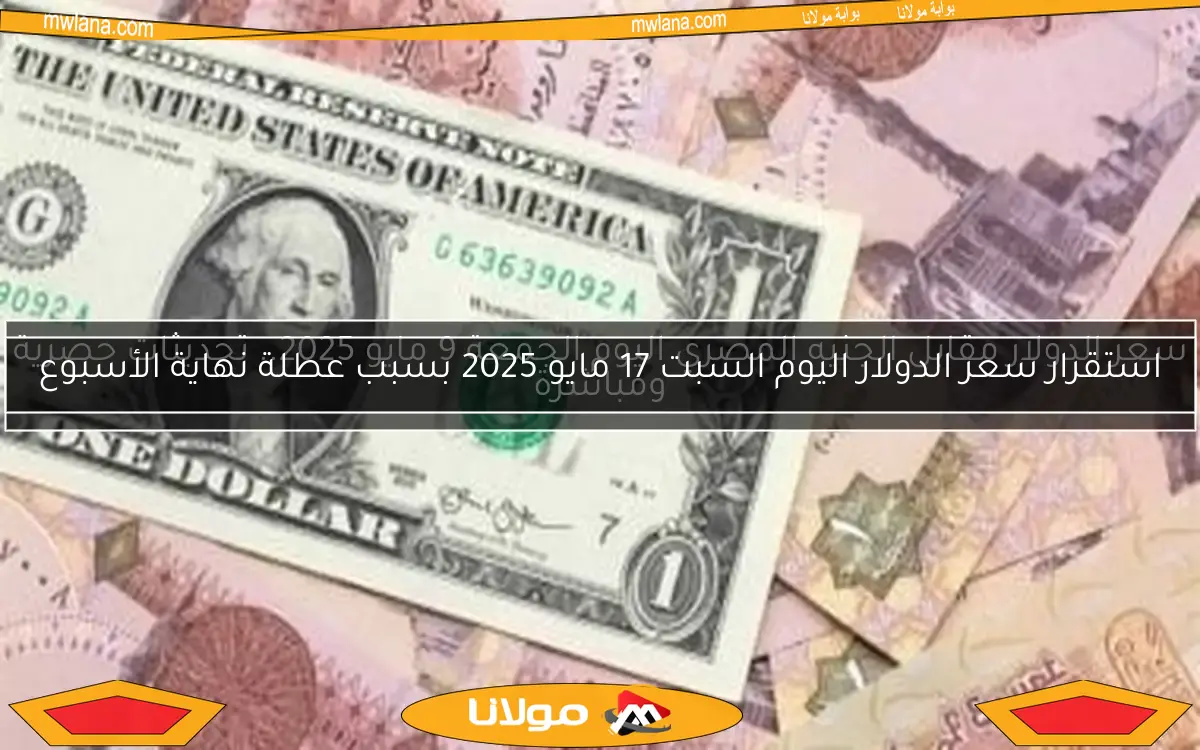 استقرار سعر الدولار اليوم السبت 17 مايو 2025 بسبب عطلة نهاية الأسبوع