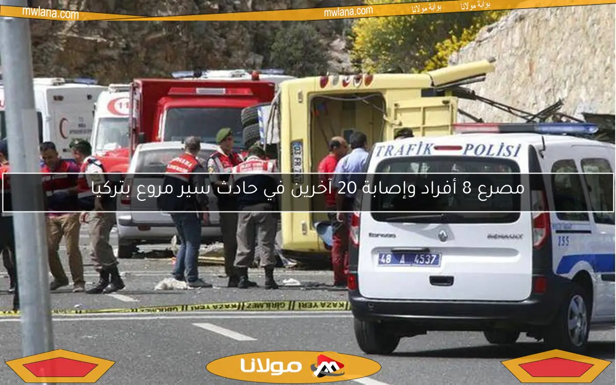 مصرع 8 أفراد وإصابة 20 آخرين في حادث سير مروع بتركيا