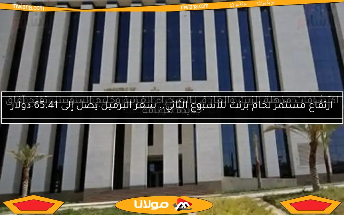 خطوات جديدة من وزارة البترول لضمان جودة البنزين ومطابقته للمواصفات المطلوبة