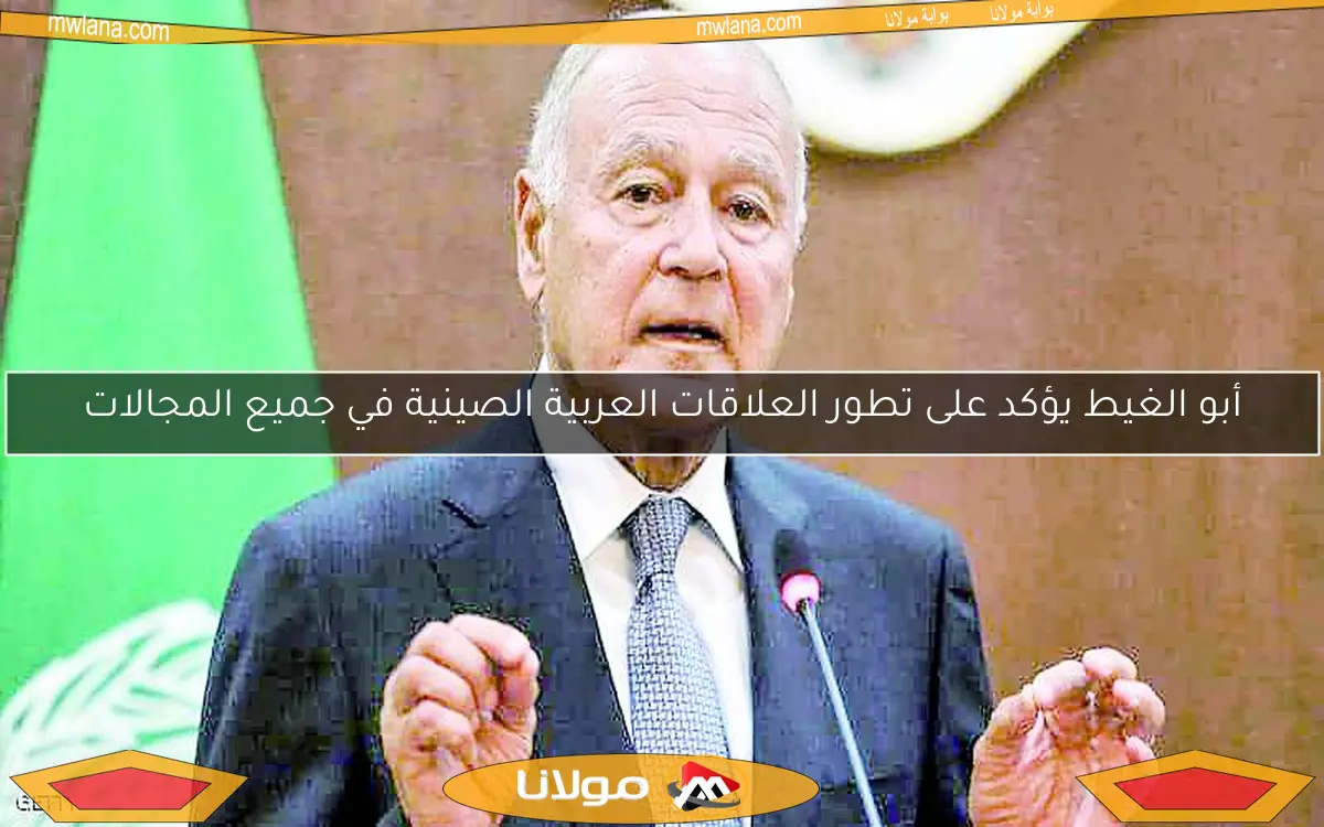 أبو الغيط يؤكد على تطور العلاقات العربية الصينية في جميع المجالات