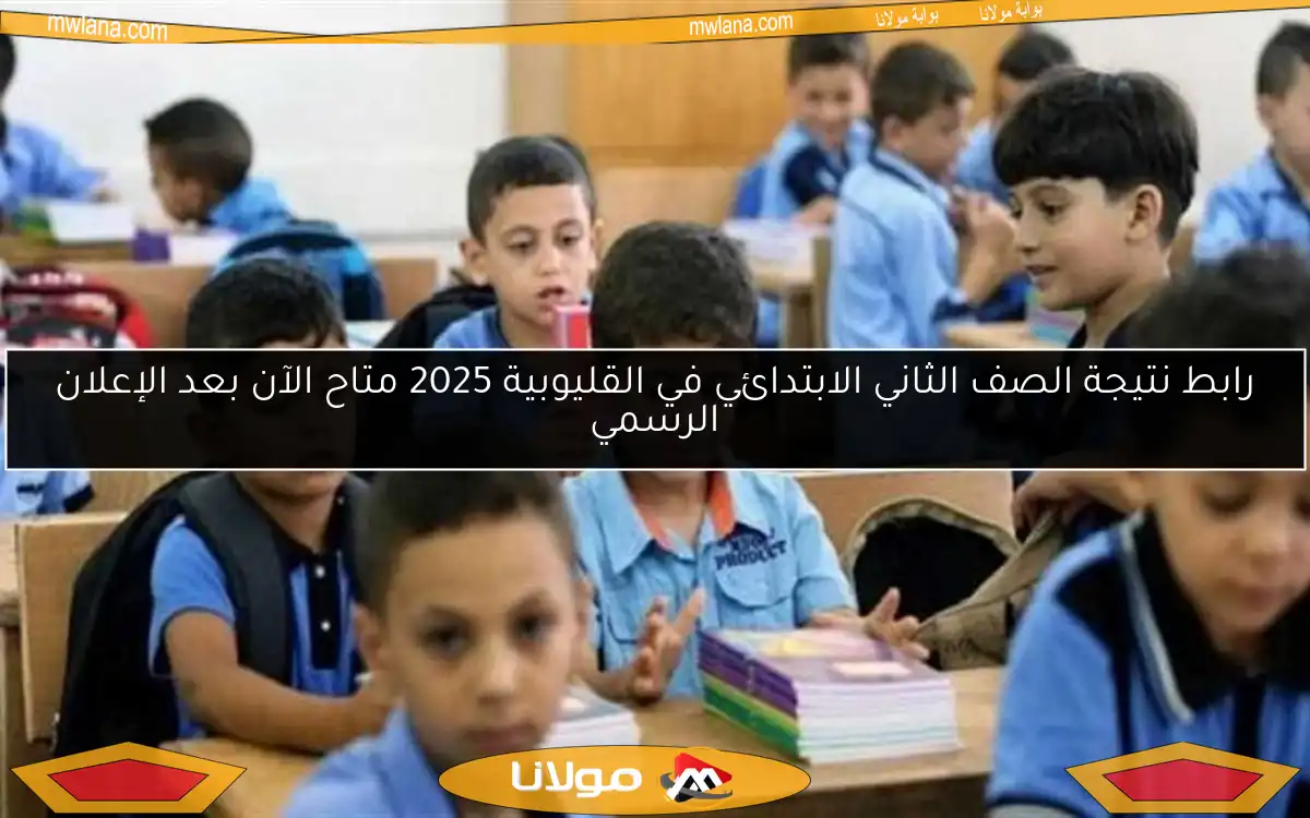 رابط نتيجة الصف الثاني الابتدائي في القليوبية 2025 متاح الآن بعد الإعلان الرسمي