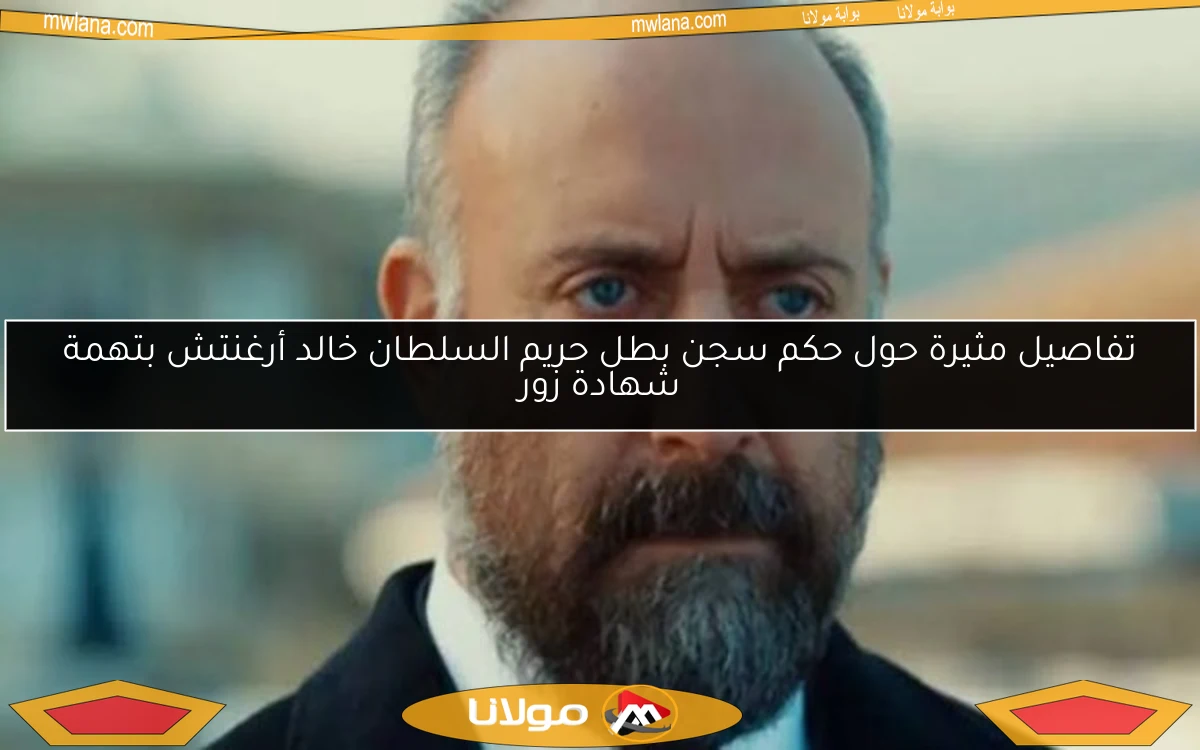 تفاصيل مثيرة حول حكم سجن بطل حريم السلطان خالد أرغنتش بتهمة شهادة زور