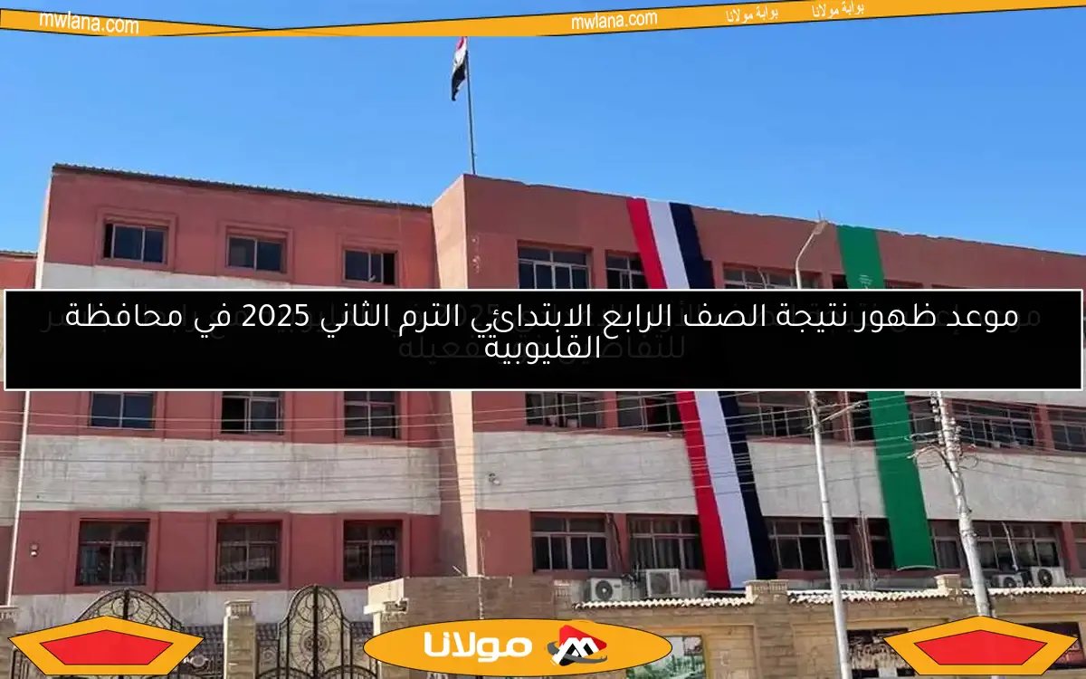 موعد إعلان نتيجة الصف الأول الإعدادي 2025 في القليوبية مع رابط مباشر للتفاصيل فور تفعيله