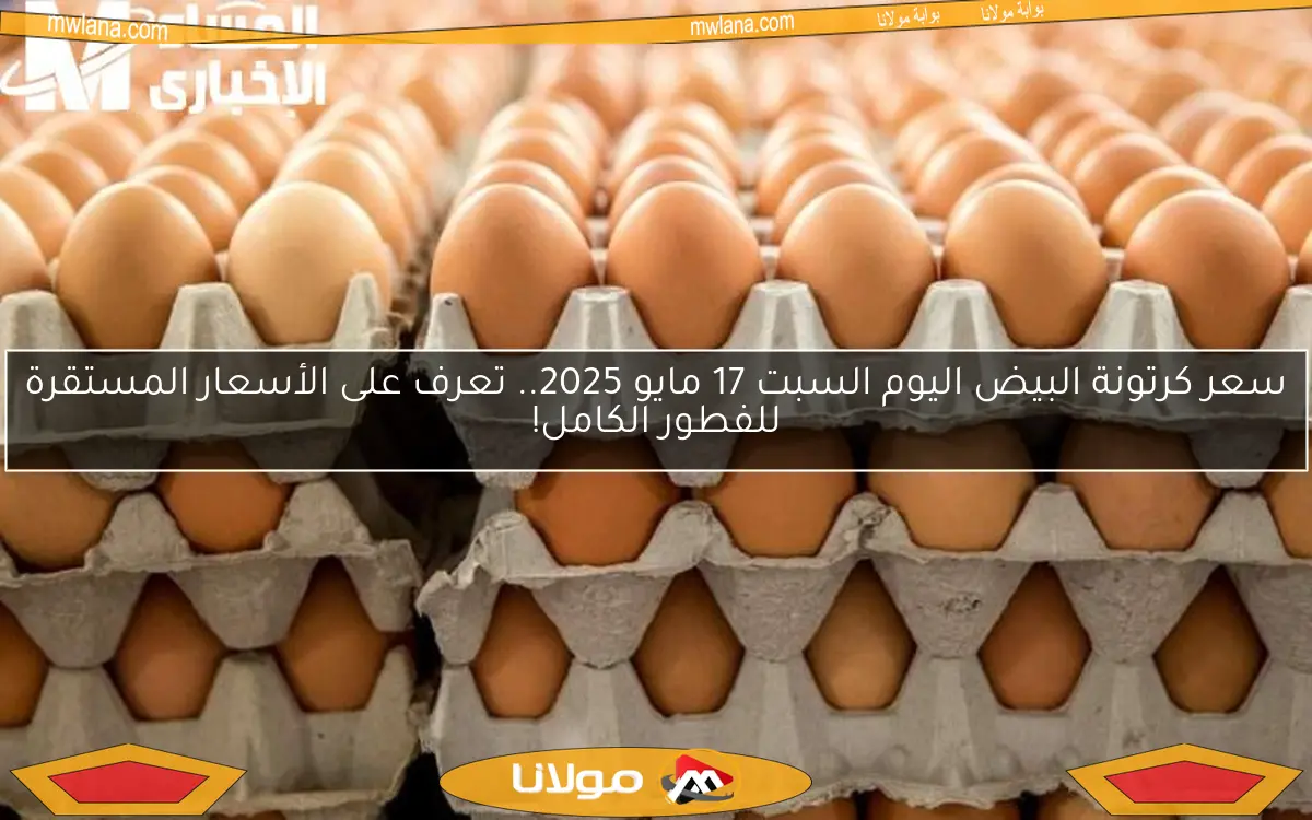 سعر كرتونة البيض اليوم السبت 17 مايو 2025.. تعرف على الأسعار المستقرة للفطور الكامل!