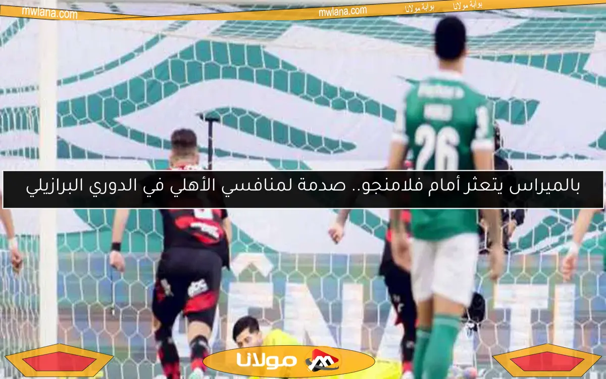 بالميراس يتعثر أمام فلامنجو.. صدمة لمنافسي الأهلي في الدوري البرازيلي