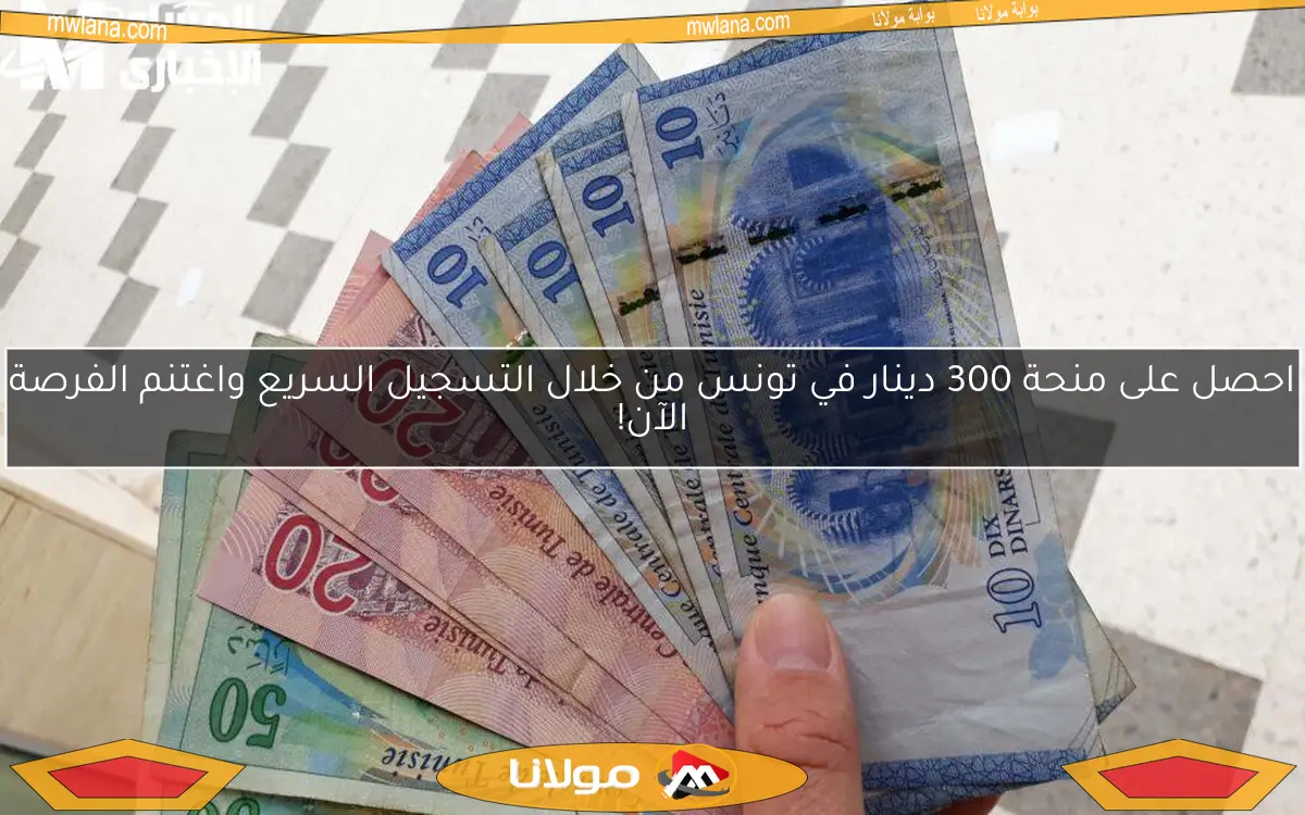 احصل على منحة 300 دينار في تونس من خلال التسجيل السريع واغتنم الفرصة الآن!