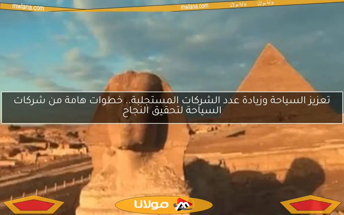 تعزيز السياحة وزيادة عدد الشركات المستجلبة.. خطوات هامة من شركات السياحة لتحقيق النجاح