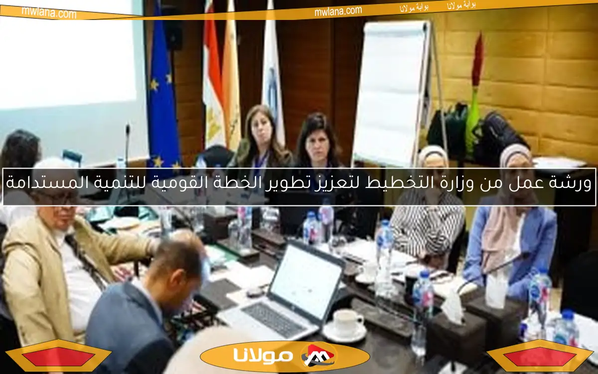 ورشة عمل من وزارة التخطيط لتعزيز تطوير الخطة القومية للتنمية المستدامة