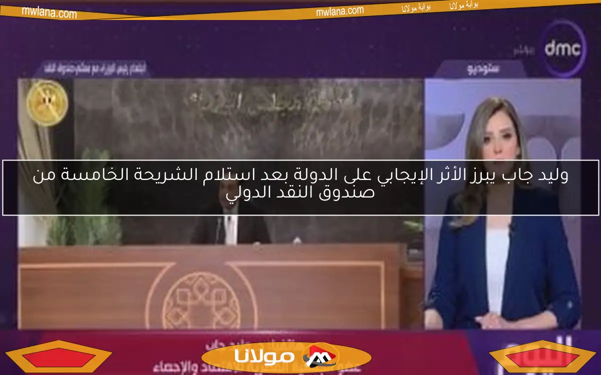 وليد جاب يبرز الأثر الإيجابي على الدولة بعد استلام الشريحة الخامسة من صندوق النقد الدولي