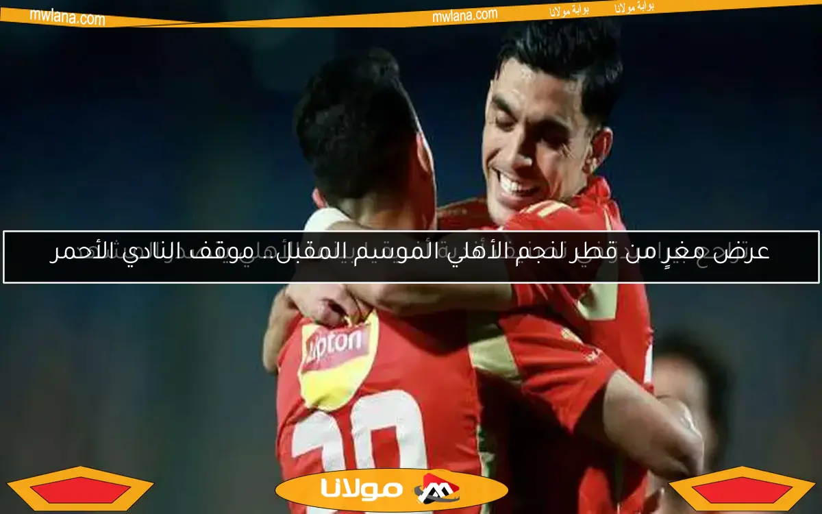 الأهلي يخطط لصفقة مصرية جديدة من الدوري التركي بعد تريزيجيه