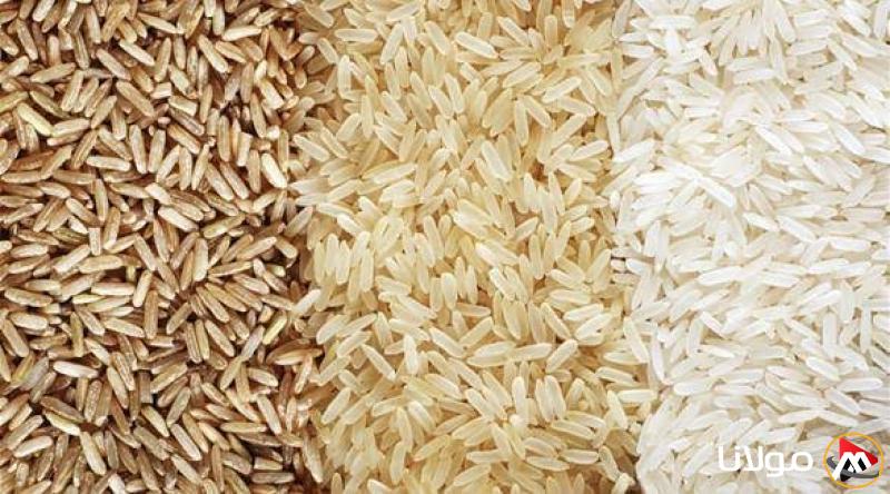 سعر طن الأرز الشعير اليوم الإثنين عند التجار.. كم يبلغ الآن؟