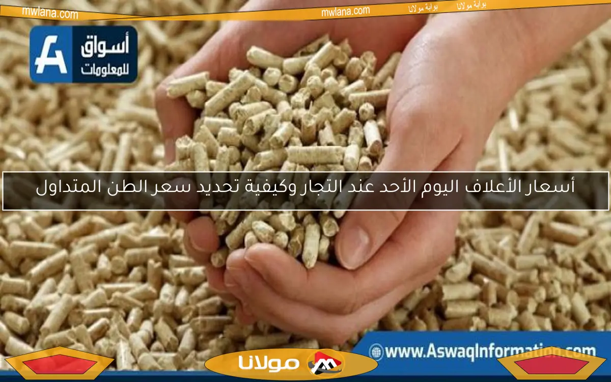 أسعار الأعلاف اليوم الأحد عند التجار وكيفية تحديد سعر الطن المتداول