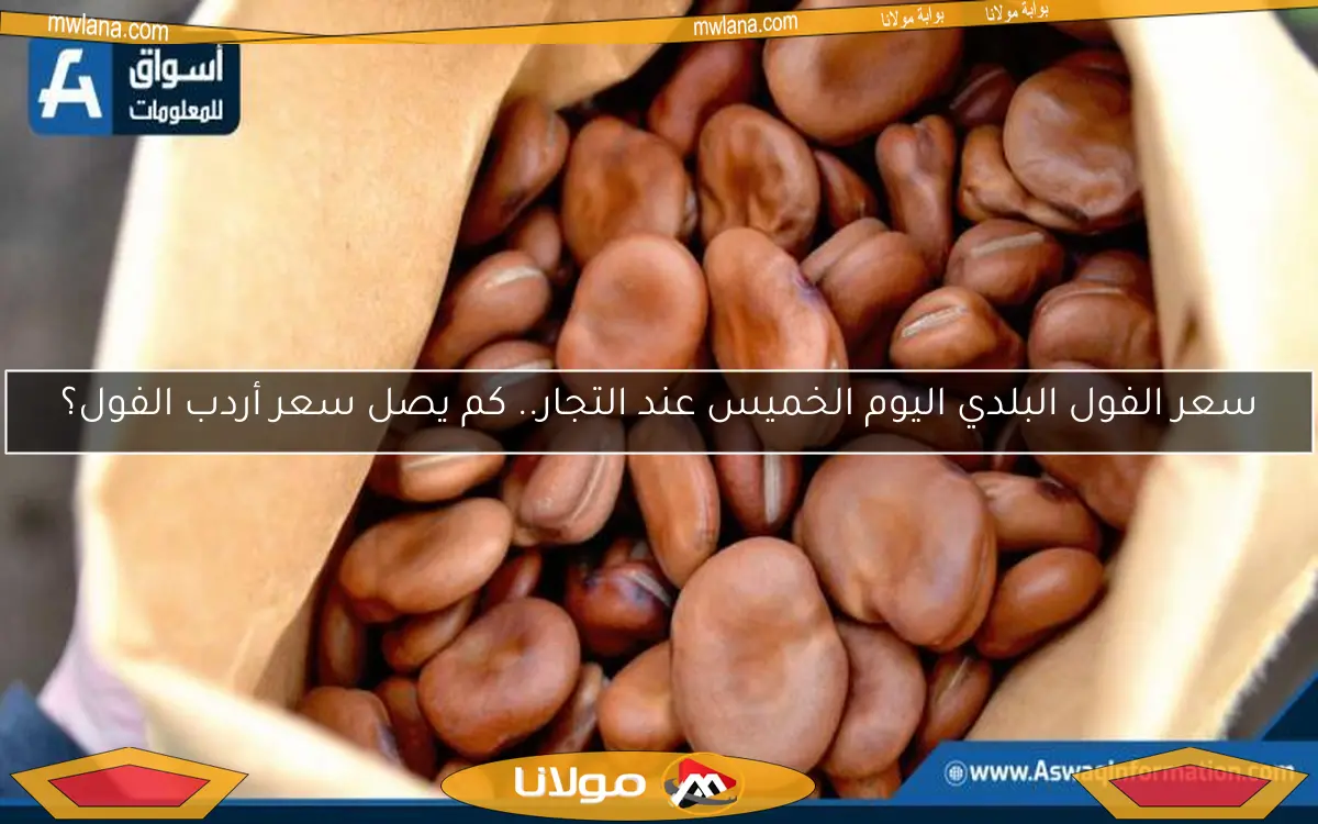 سعر الفول البلدي اليوم الخميس عند التجار.. كم يصل سعر أردب الفول؟