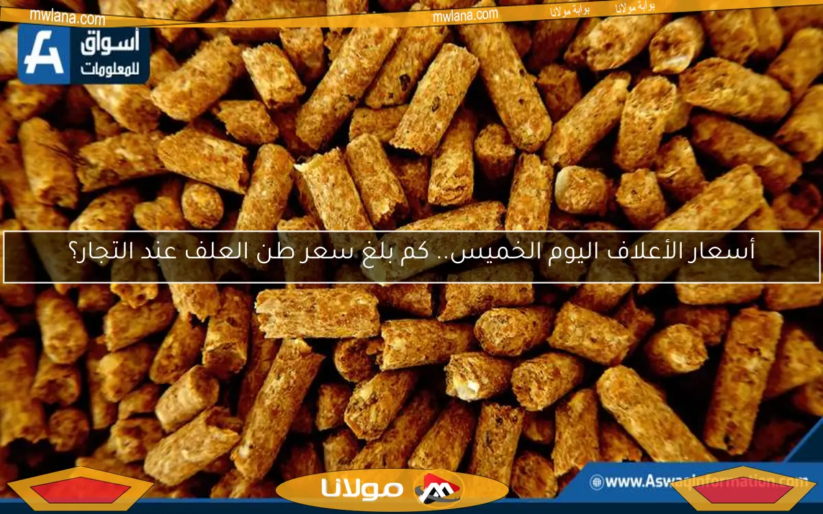 أسعار الأعلاف اليوم الخميس.. كم بلغ سعر طن العلف عند التجار؟