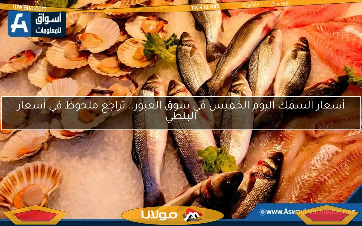أسعار السمك اليوم الخميس في سوق العبور.. تراجع ملحوظ في أسعار البلطي
