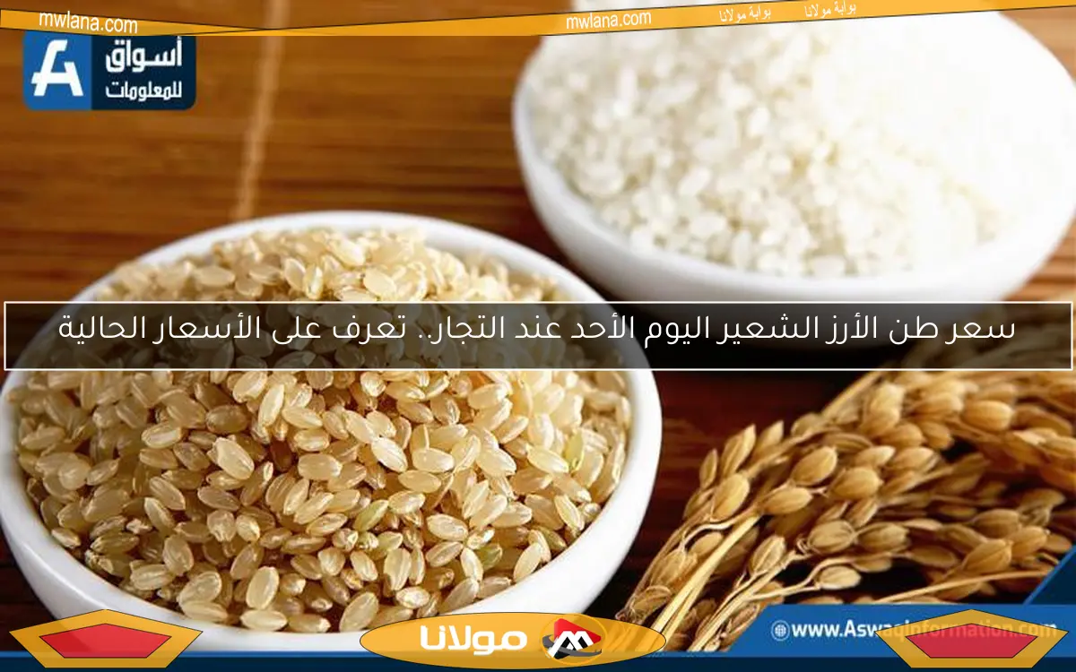 سعر طن الأرز الشعير اليوم الأحد عند التجار.. تعرف على الأسعار الحالية