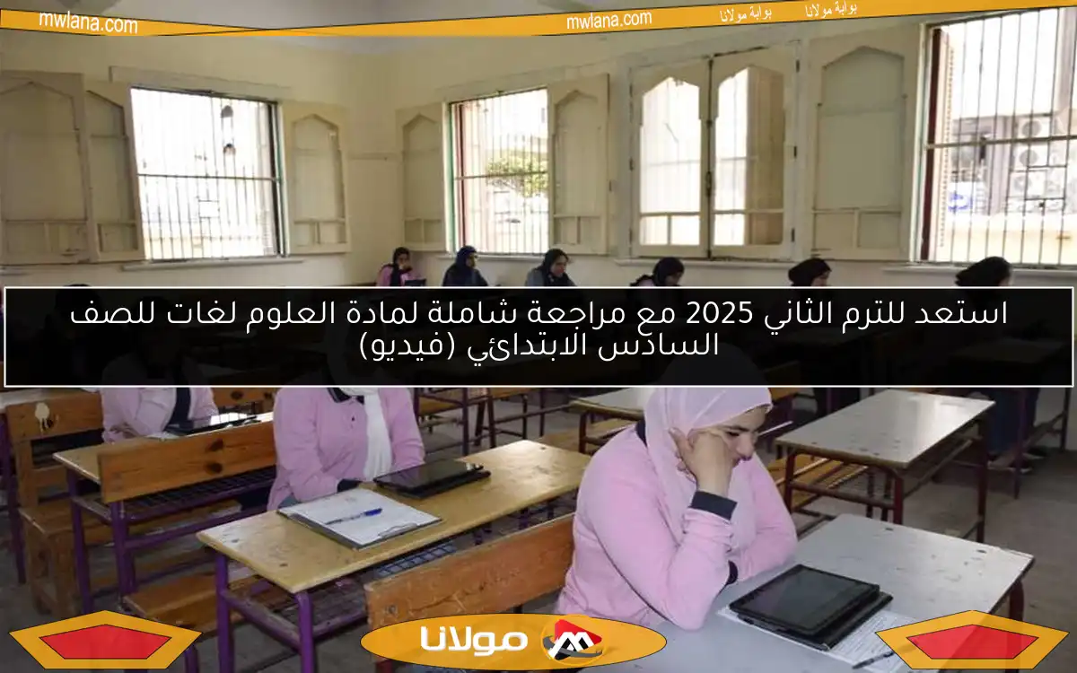 استعد للترم الثاني 2025 مع مراجعة شاملة لمادة العلوم لغات للصف السادس الابتدائي (فيديو)