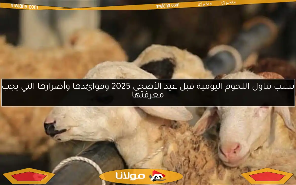 نسب تناول اللحوم اليومية قبل عيد الأضحى 2025 وفوائدها وأضرارها التي يجب معرفتها