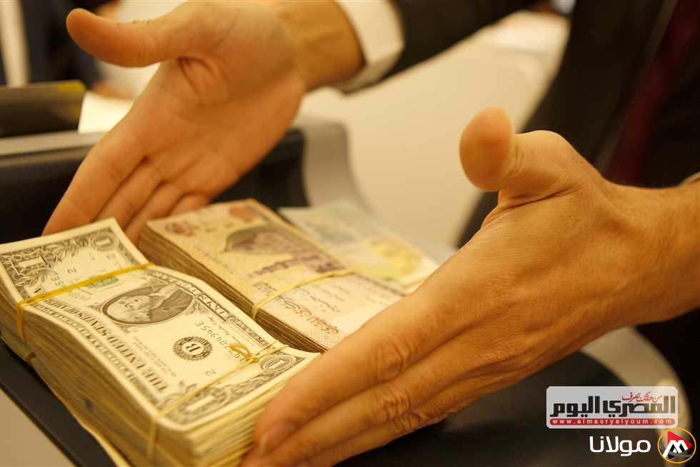 سعر الدولار مقابل الجنيه بوابة مولانا الاثنين 5 مايو 2025 في البنوك الرسمية