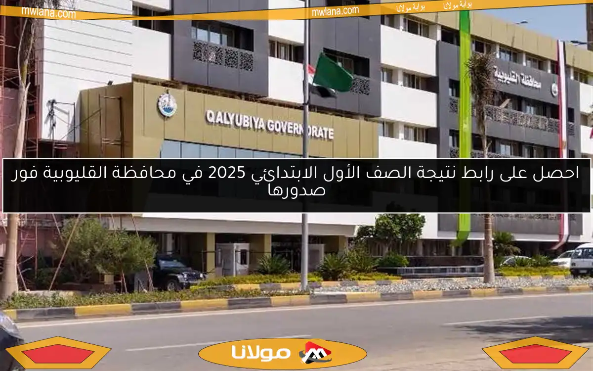 احصل على رابط نتيجة الصف الأول الابتدائي 2025 في محافظة القليوبية فور صدورها