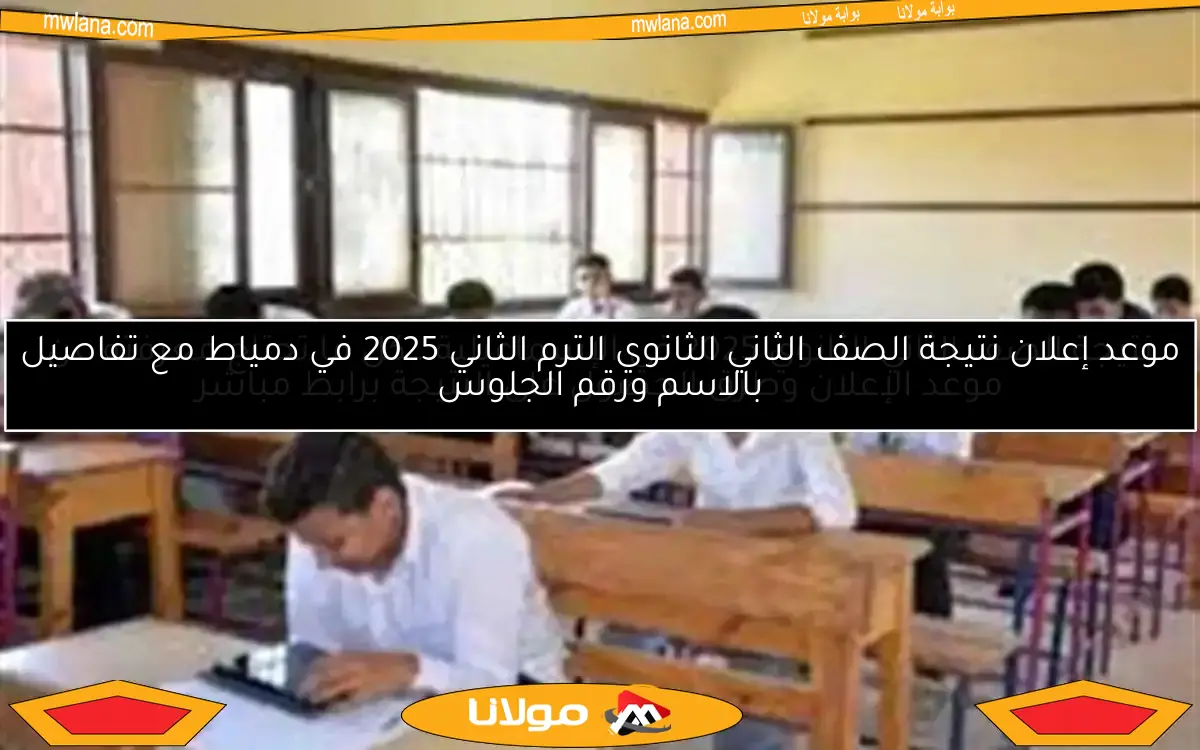 نتيجة الصف الثاني الثانوي 2025 في الإسماعيلية.. كل ما تحتاج معرفته عن موعد الإعلان وطرق الحصول على النتيجة برابط مباشر