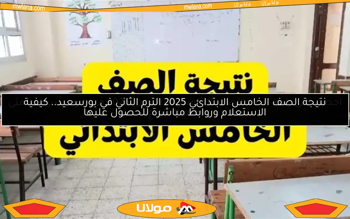 نتيجة الصف الخامس الابتدائي 2025 الترم الثاني في بورسعيد.. كيفية الاستعلام وروابط مباشرة للحصول عليها