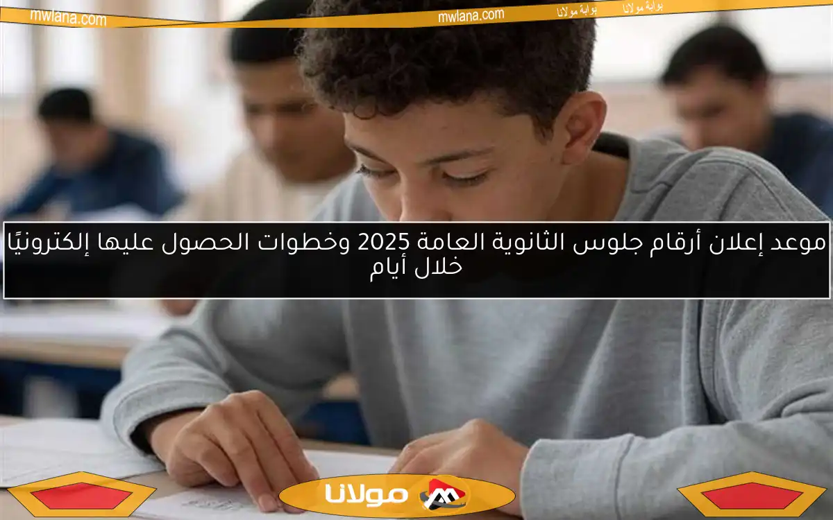 موعد إعلان أرقام جلوس الثانوية العامة 2025 وخطوات الحصول عليها إلكترونيًا خلال أيام