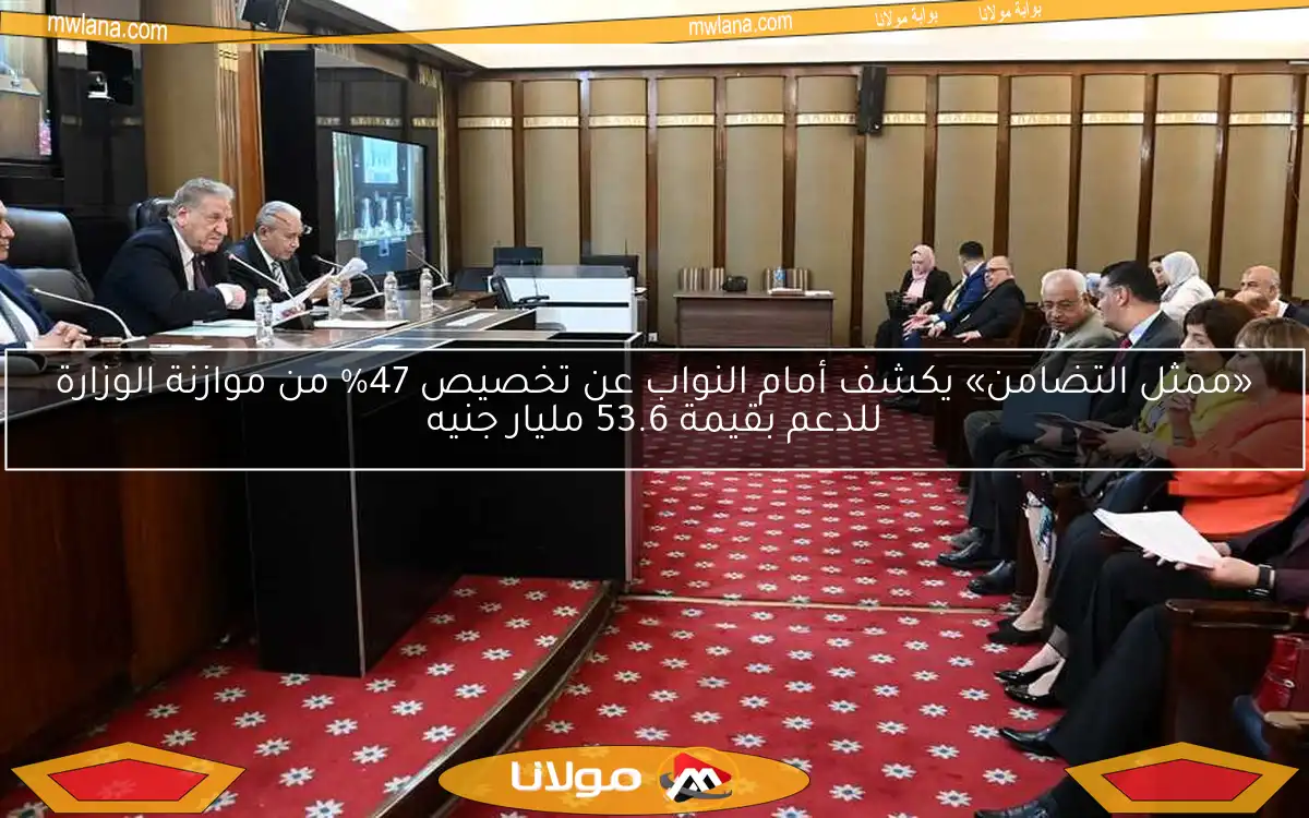«ممثل التضامن» يكشف أمام النواب عن تخصيص 47% من موازنة الوزارة للدعم بقيمة 53.6 مليار جنيه