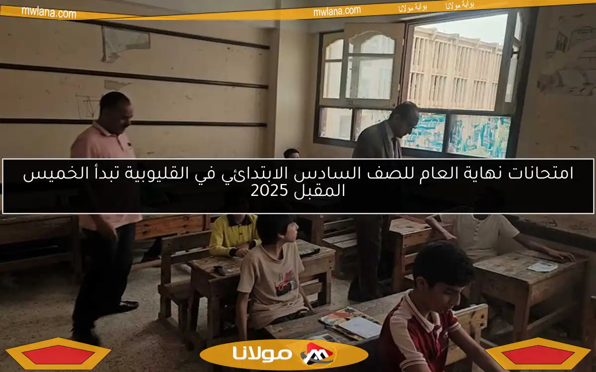 امتحانات نهاية العام للصف السادس الابتدائي في القليوبية تبدأ الخميس المقبل 2025