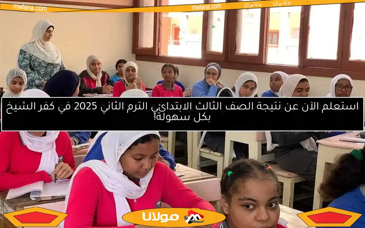 موعد ظهور نتيجة الصف الثاني الثانوي 2025 في محافظة القليوبية فور الإعلان عنها
