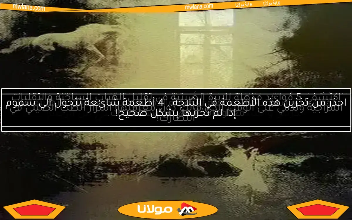 تحذير من خبير أمريكي حول 7 أجهزة كهربائية يجب عدم توصيلها بالمشترك لتفادي المخاطر الكبيرة