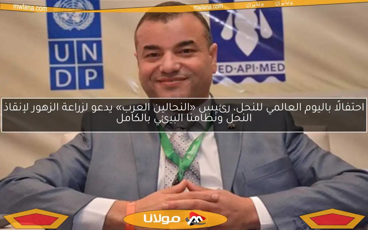 احتفالًا باليوم العالمي للنحل، رئيس «النحالين العرب» يدعو لزراعة الزهور لإنقاذ النحل ونظامنا البيئي بالكامل