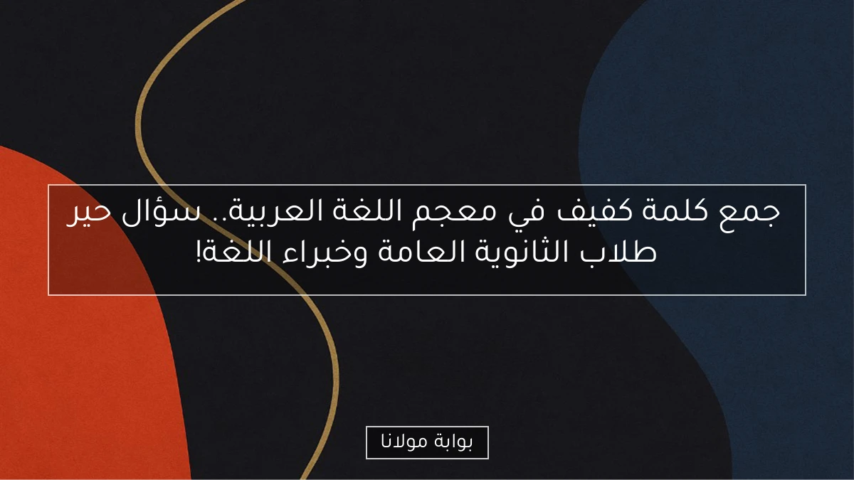 جمع كلمة كفيف في معجم اللغة العربية.. سؤال حير طلاب الثانوية العامة وخبراء اللغة!