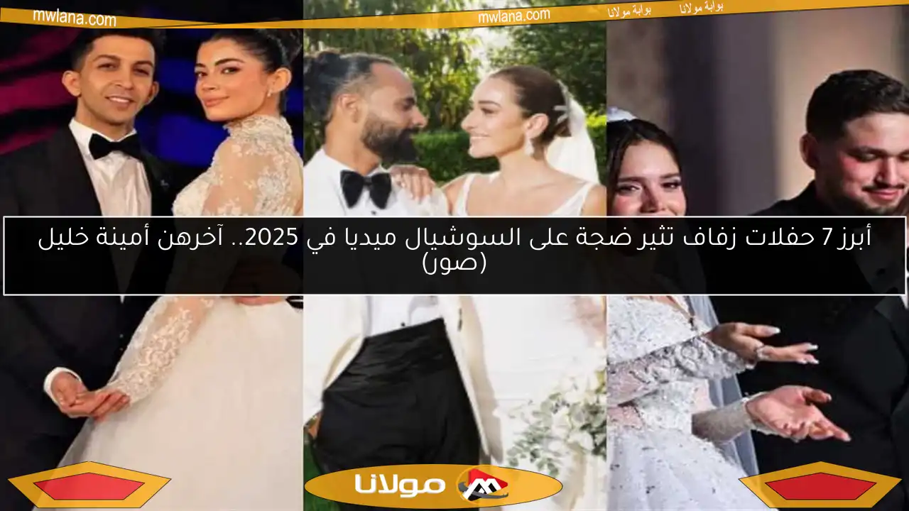 أبرز 7 حفلات زفاف تثير ضجة على السوشيال ميديا في 2025.. آخرهن أمينة خليل (صور)