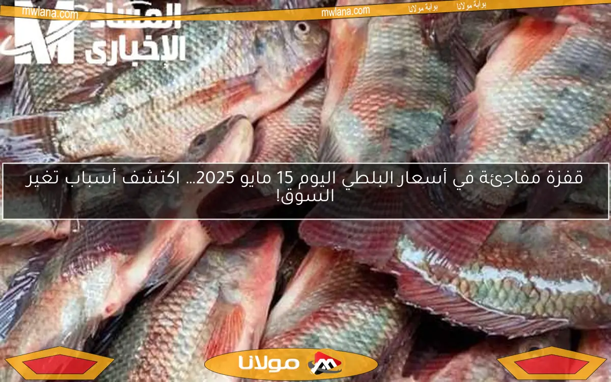 قفزة مفاجئة في أسعار البلطي اليوم 15 مايو 2025… اكتشف أسباب تغير السوق!