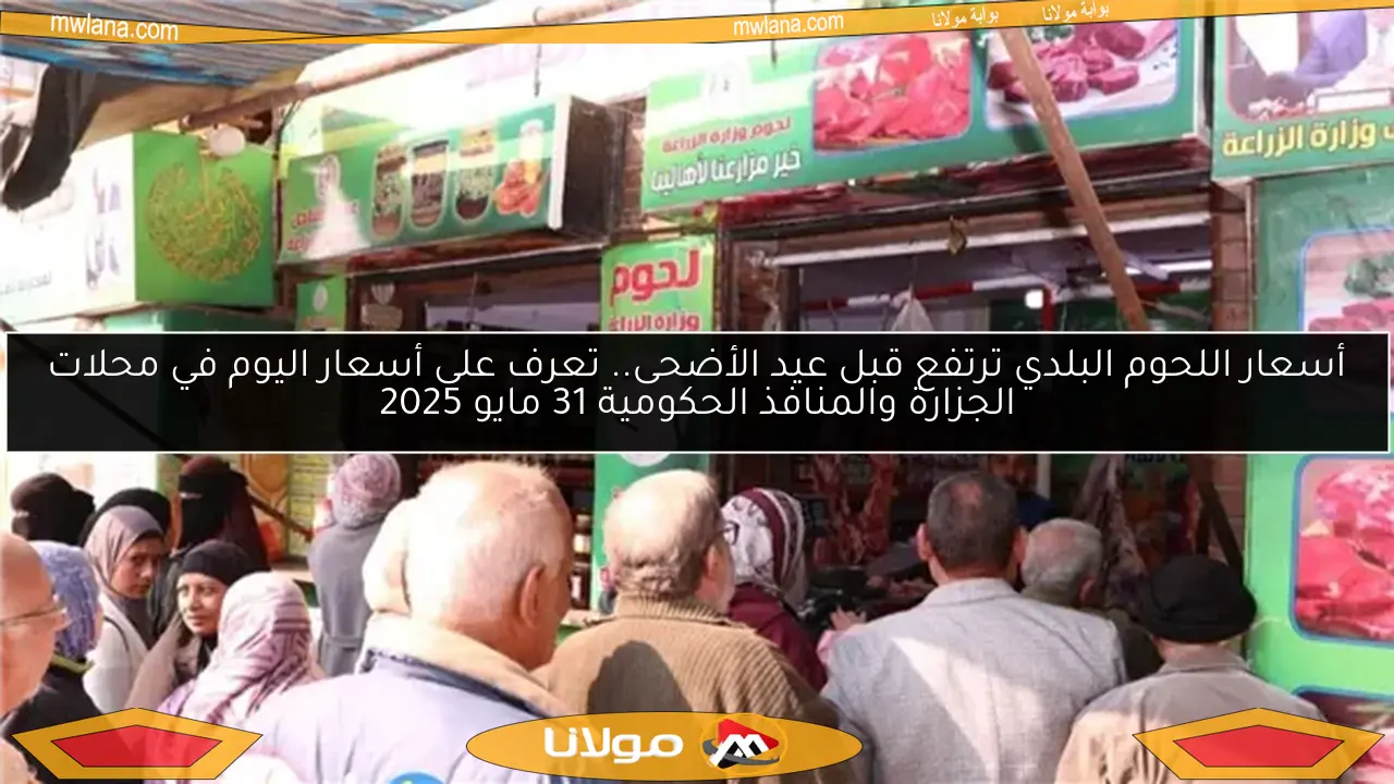 أسعار اللحوم البلدي ترتفع قبل عيد الأضحى.. تعرف على أسعار اليوم في محلات الجزارة والمنافذ الحكومية 31 مايو 2025