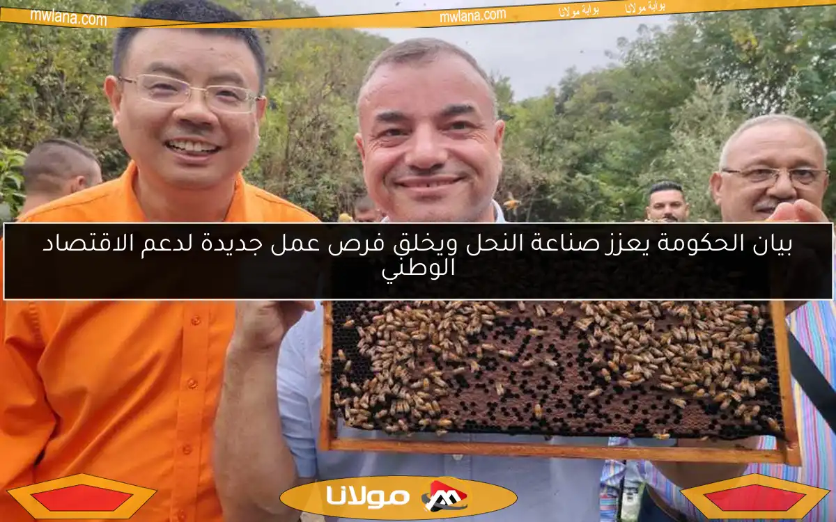 بيان الحكومة يعزز صناعة النحل ويخلق فرص عمل جديدة لدعم الاقتصاد الوطني