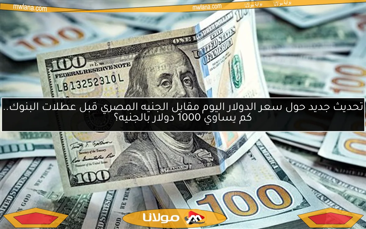 تحديث جديد حول سعر الدولار اليوم مقابل الجنيه المصري قبل عطلات البنوك.. كم يساوي 1000 دولار بالجنيه؟
