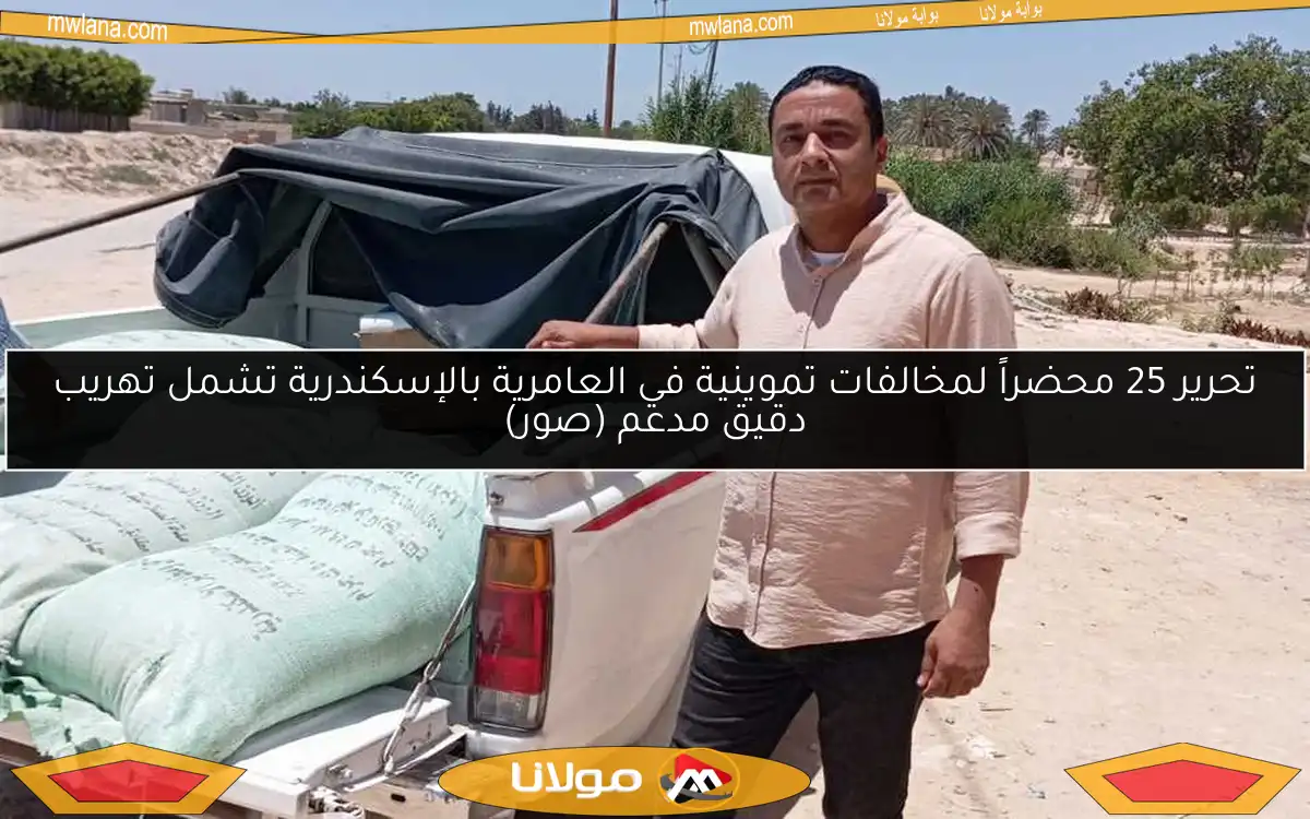 تحرير 25 محضراً لمخالفات تموينية في العامرية بالإسكندرية تشمل تهريب دقيق مدعم (صور)