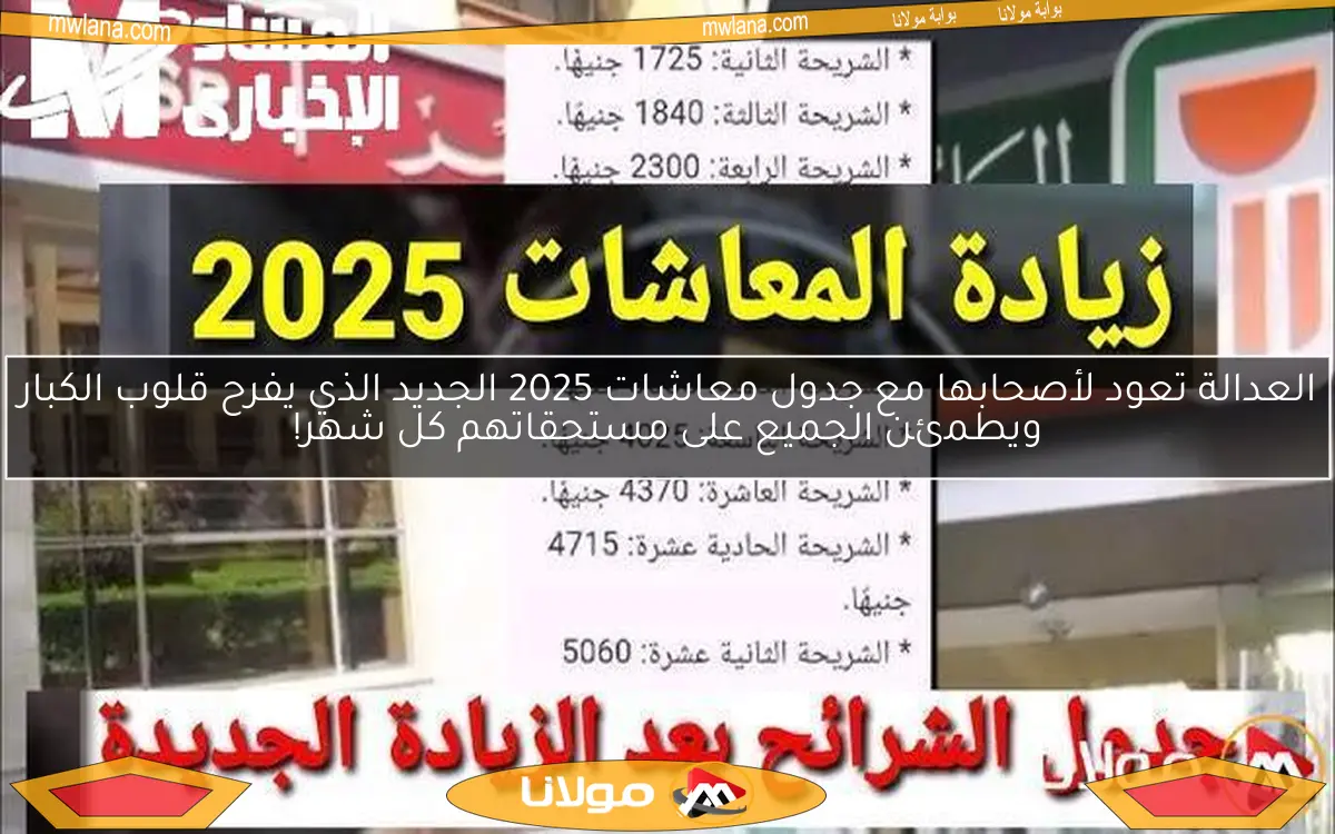 العدالة تعود لأصحابها مع جدول معاشات 2025 الجديد الذي يفرح قلوب الكبار ويطمئن الجميع على مستحقاتهم كل شهر!