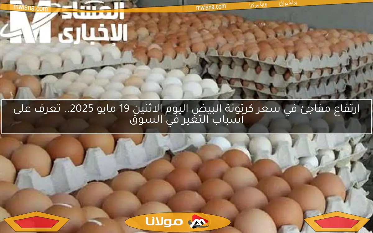 ارتفاع مفاجئ في سعر كرتونة البيض اليوم الاثنين 19 مايو 2025.. تعرف على أسباب التغير في السوق