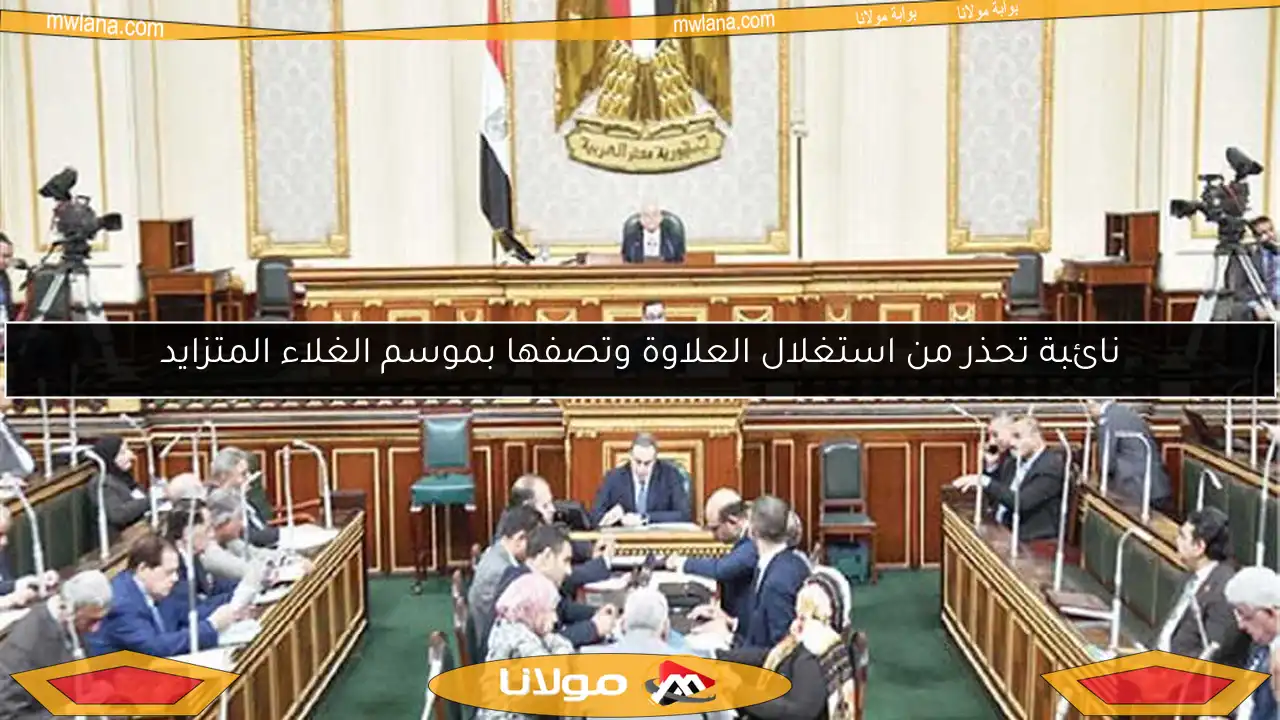 نائبة تحذر من استغلال العلاوة وتصفها بموسم الغلاء المتزايد