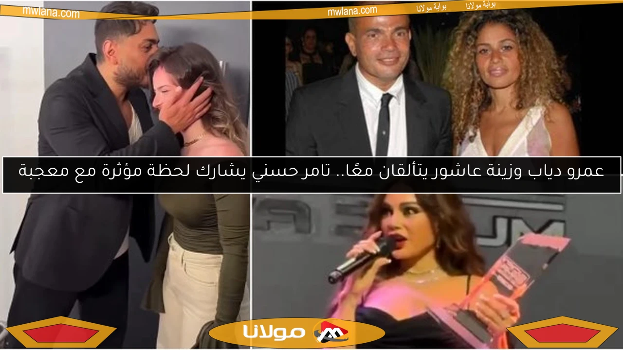 عمرو دياب وزينة عاشور يتألقان معًا.. تامر حسني يشارك لحظة مؤثرة مع معجبة